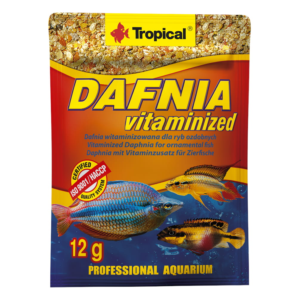 dafnia vit.jpg